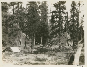 Image: Labrador Scientific Station-tents in woods